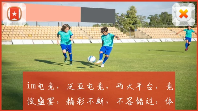 im电竞，泛亚电竞，两大平台，竞技盛宴，精彩不断，不容错过，体验非凡