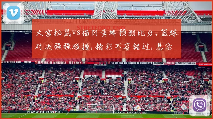 大宫松鼠vs福冈黄蜂预测比分,篮球对决强强碰撞,精彩不容错过,悬念迭起