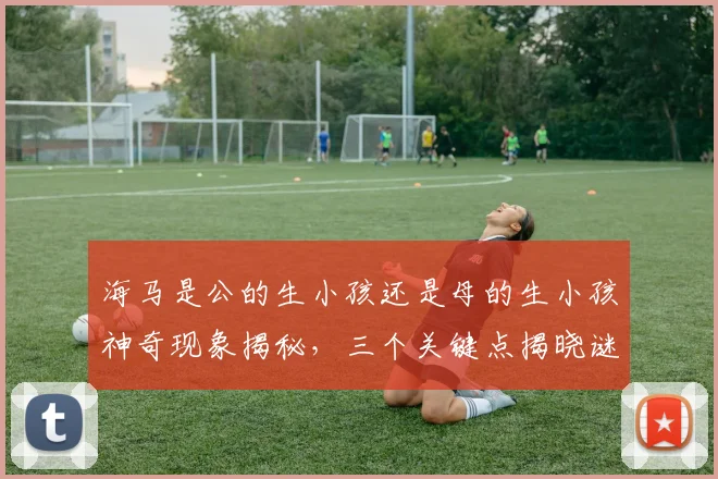 海马是公的生小孩还是母的生小孩神奇现象揭秘，三个关键点揭晓谜底，不容错过